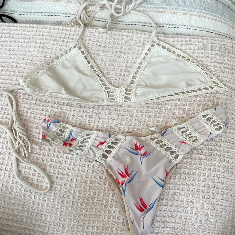 Acacia bikini